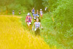 BIB: 
                            <button type="button" onclick="openModal(13455741)" class="btn btn-primary btn-sm float-right btn-popup" data-toggle="modal" data-target=".modal-high-quality">
                        <i class="fas fa-shopping-cart"></i> Add to Cart
                    </button>
                                            <button type="button" onclick="isThisMe(13455741, true)" class="btn btn-success btn-sm float-right btn-popup btn-isme hidden" data-toggle="tooltip" data-placement="bottom" title="นี่คือรูปของคุณใช่ไหม คลิกที่นี่เพื่อเอาเข้าอัลบั้ม">
                        <i class="fas fa-plus"></i> Add to album
                    </button>
                    <button type="button" onclick="isThisMe(13455741, false)" class="btn btn-warning btn-sm float-right btn-popup btn-isnotme hidden">
                        <i class="fas fa-ban"></i> Remove from album
                    </button>